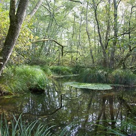 La Cabanote בית נופש *