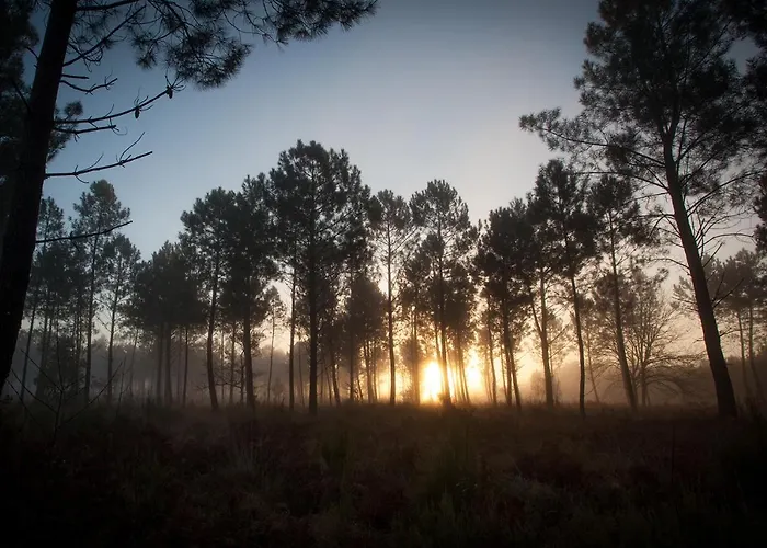 La Cabanote Сasa de vacaciones *