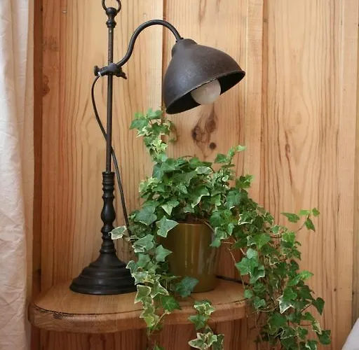 Сasa de vacaciones La Cabanote Biscarrosse